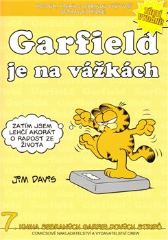 Obálka titulu Garfield 07: Je na vážkách