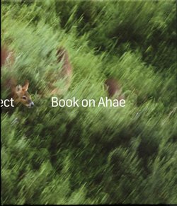 Obálka titulu Book on Ahae
