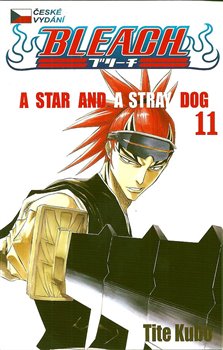 Obálka titulu Bleach 11: A Star and a Stray Dog
