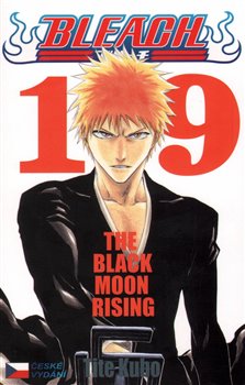 Obálka titulu Bleach 19-The Black Moon Rising