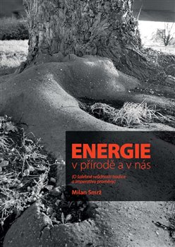 Obálka titulu Energie v přírodě a v nás