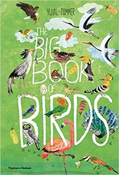 Obálka titulu Big Book of Birds