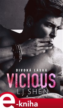 Obálka titulu Vicious : Divoká láska