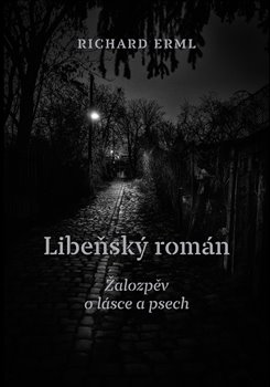 Obálka titulu Libeňský román