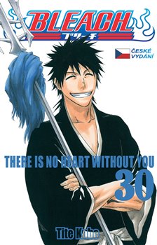 Obálka titulu Bleach 30: There Is No Heart Without You